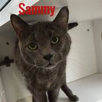 Sammy_Official Fan Group! Group Thumbnail