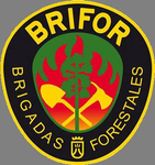 BRIFOR RP FS2