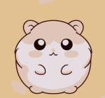 Checco Channel hamster