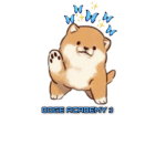 DOGE ACADEMY :)