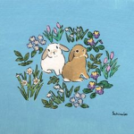 Bunny Universe