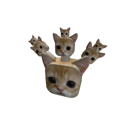 Massive El Gato