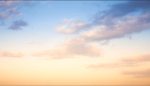 Hi_bffs