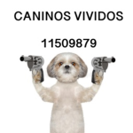 Caninos Vividos