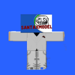 The SanTaxModel Fan Group