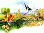 The Wild (Roleplay Group)