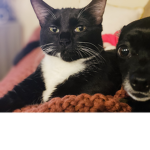 Gen & Danny