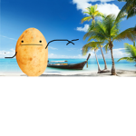 THE DERPY POTATOS!!!!!