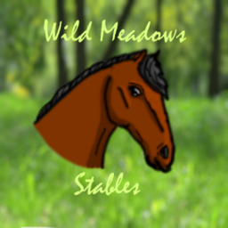 Wild Meadows Stables V.3 TEST