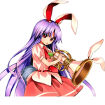 REISEN WWWW