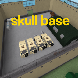 the skull base