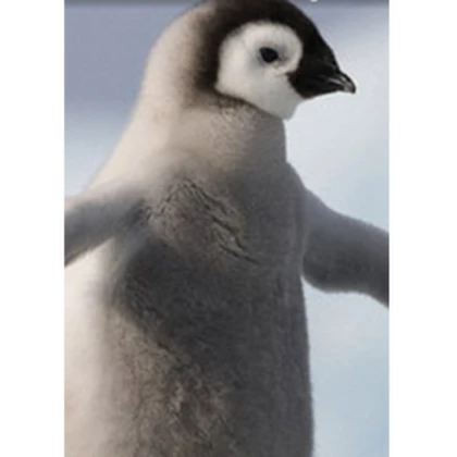 THE PENGUIN FLOCK FAM Roblox group icon