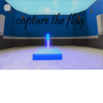 capture the flag