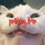 pr3tty.li4r