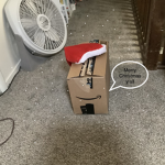 Amazon box appreciation society.