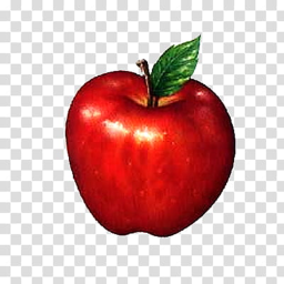 Froot help and services