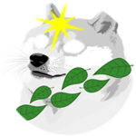 Doge Of Creation