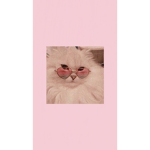 The cat squad! my cat