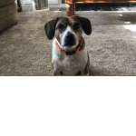 The Hangout.!