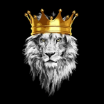 The kings and Queens of lions
