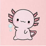 Axolotl Academy.