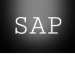SAP그룹