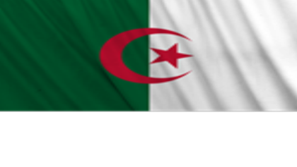 Flag of Algeria Roblox decal