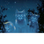 MistClan (Official Group!)