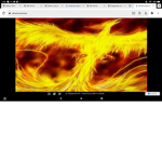 Phoenix of fire team