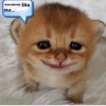 Queb