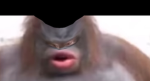 CyborgMelonMPG fan group