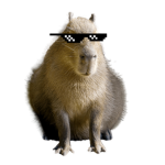 Team_Capy