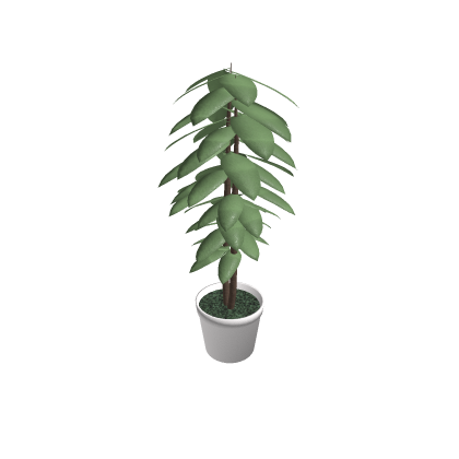 Raise a floppa (Catnip Plant Kit)