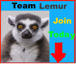 Team Lemur