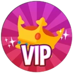 👑VIP!
