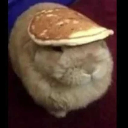 SLUNGUS PANCAKE