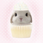 bunnys>3