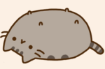 Pusheen is the best rat in the world