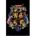 Hogwarts school!!!!!!!
