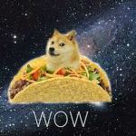 taco horse doge