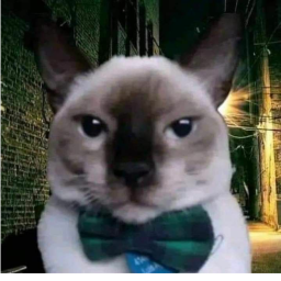 XD