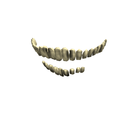 teeth