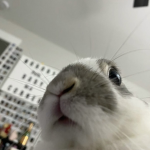 •Keiiko•