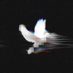Wingbounded