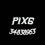 彡PIXS