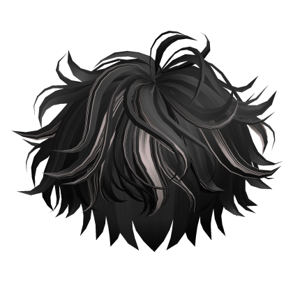 Black&Ash Curly Hair