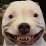 The Doge Clothing