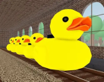 Certified Ducks