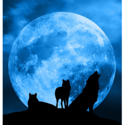 So the wolf howls