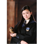 Amazing Harry Potter Fans